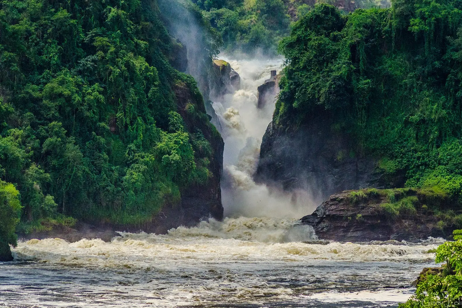 2 Days Murchison Falls Safari