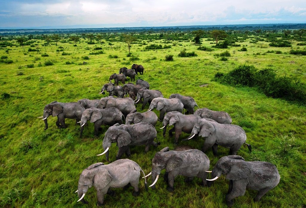 3 Days Queen Elizabeth National Park Safari